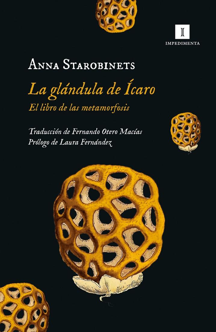 GLANDULA DE ICARO, LA [RUSTICA] | STAROBINETS, ANNA | Akira Comics  - libreria donde comprar comics, juegos y libros online