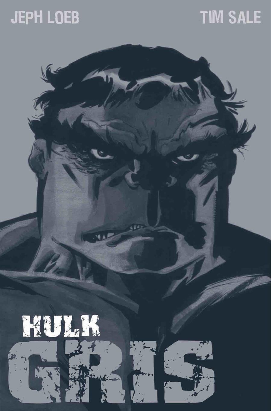 HULK: GRIS (REEDICION) [CARTONE] | LOEB, JEPH / SALE, TIM | Akira Comics  - libreria donde comprar comics, juegos y libros online