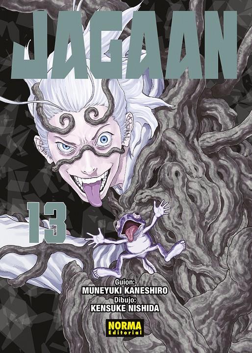 JAGAAN Nº13 [RUSTICA] | KANESHIRO / NISHIDA | Akira Comics  - libreria donde comprar comics, juegos y libros online