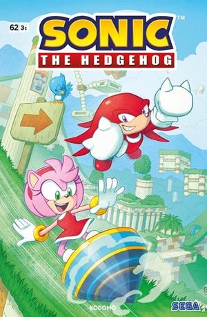 SONIC: THE HEDGEHOG Nº62 [GRAPA] | FLYNN, IAN | Akira Comics  - libreria donde comprar comics, juegos y libros online