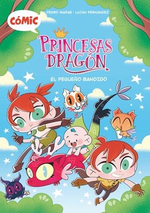 PRINCESAS DRAGON COMIC VOL.3: EL PEQUEÑO BANDIDO [CARTONE] | MAÑAS, PEDRO / FERNANDEZ, LUJAN | Akira Comics  - libreria donde comprar comics, juegos y libros online
