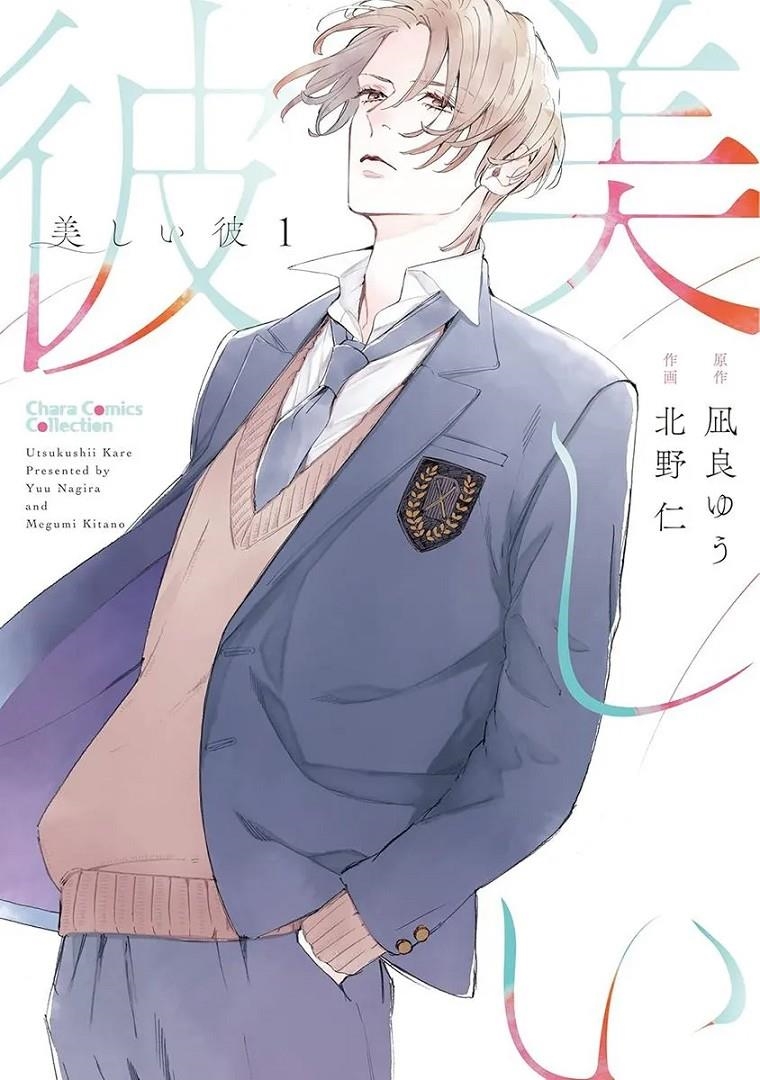 MY BEAUTIFUL MAN Nº01 [RUSTICA] | NAGIRA, YUU / KITANO, MEGUMI | Akira Comics  - libreria donde comprar comics, juegos y libros online