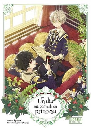 UN DIA ME CONVERTI EN PRINCESA Nº02 [RUSTICA] | SPOON / PLUTUS | Akira Comics  - libreria donde comprar comics, juegos y libros online
