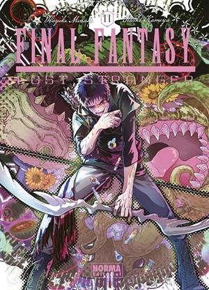 FINAL FANTASY LOST STRANGER Nº11 [RUSTICA] | MINASE, HAZUKI / KAMEYA, ITSUKI | Akira Comics  - libreria donde comprar comics, juegos y libros online