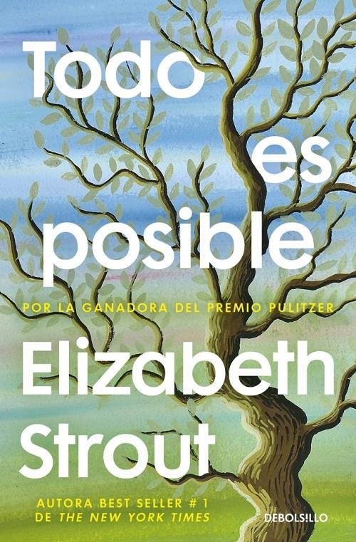 TODO ES POSIBLE [BOLSILLO] | STROUT, ELIZABETH | Akira Comics  - libreria donde comprar comics, juegos y libros online