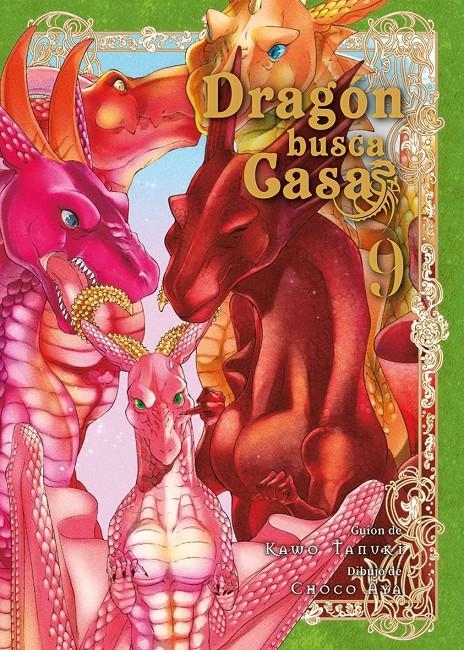 DRAGON BUSCA CASA Nº09 [RUSTICA] | TANUKI, KAWO | Akira Comics  - libreria donde comprar comics, juegos y libros online