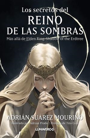 SECRETOS DEL REINO DE LAS SOMBRAS, LOS [RUSTICA] | PRADO SUAREZ, ADRIAN | Akira Comics  - libreria donde comprar comics, juegos y libros online