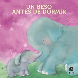 UN BESO ANTES DE DORMIR [LIBRO DE TELA] | TELLECHEA, TERESA / PADRON, ALICIA | Akira Comics  - libreria donde comprar comics, juegos y libros online