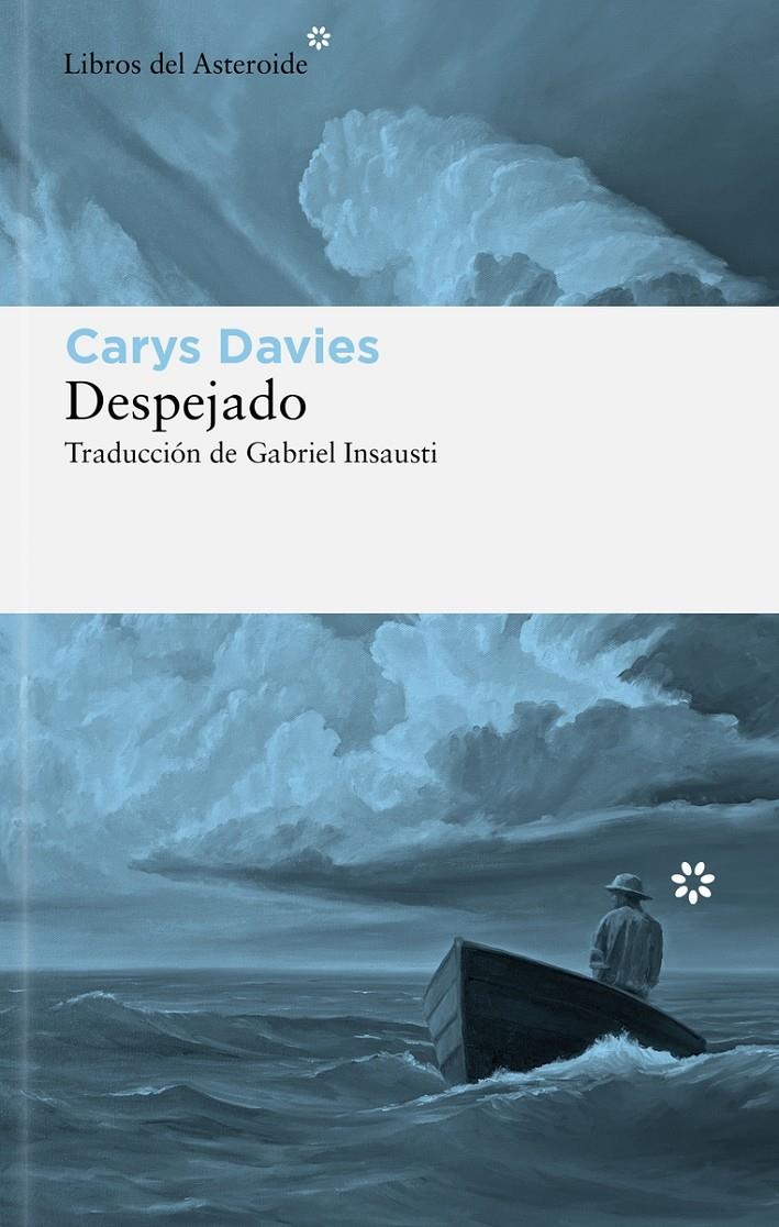 DESPEJADO [RUSTICA] | DAVIES, CARYS | Akira Comics  - libreria donde comprar comics, juegos y libros online