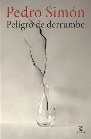 PELIGRO DE DERRUMBE [CARTONE] | SIMON, PEDRO | Akira Comics  - libreria donde comprar comics, juegos y libros online