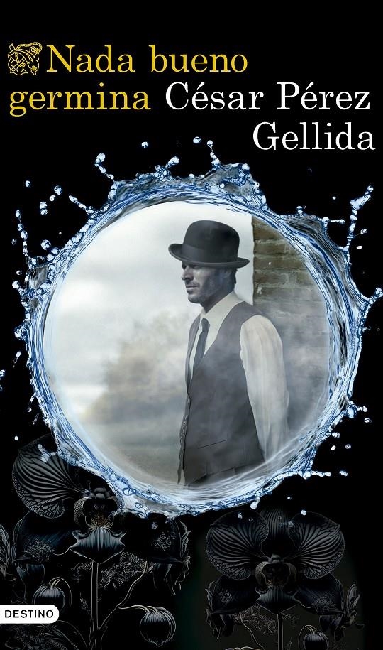NADA BUENO GERMINA [CARTONE] | PEREZ GELLIDA, CESAR | Akira Comics  - libreria donde comprar comics, juegos y libros online