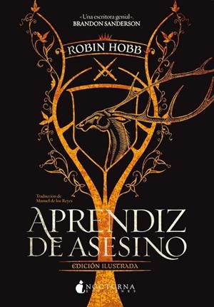 APRENDIZ DE ASESINO (TRILOGIA DEL VATIDICO 1) [RUSTICA] | HOBB, ROBIN | Akira Comics  - libreria donde comprar comics, juegos y libros online
