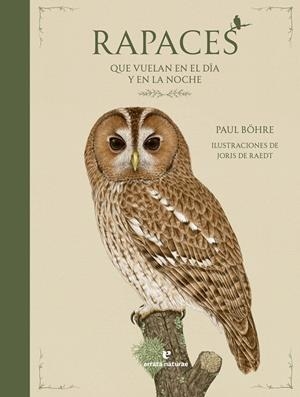 RAPACES QUE VUELAN EN EL DIA Y EN LA NOCHE [CARTONE] | BOHRE, PAUL / DE RAEDT, JORIS | Akira Comics  - libreria donde comprar comics, juegos y libros online