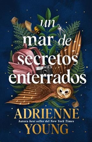 UN MAR DE SECRETOS ENTERRADOS [RUSTICA] | YOUNG, ADRIENNE | Akira Comics  - libreria donde comprar comics, juegos y libros online