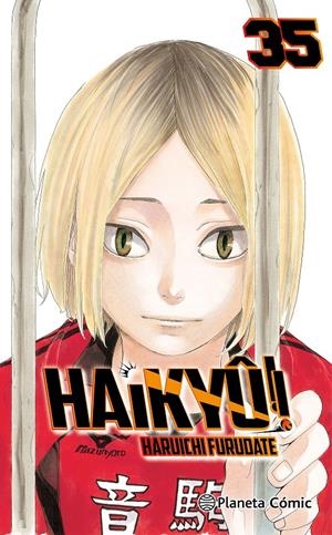 HAIKYÛ!! Nº35 [RUSTICA] | FURUDATE, HARUICHI | Akira Comics  - libreria donde comprar comics, juegos y libros online