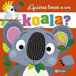 QUIERES TOCAR A UN KOALA? [CARTONE] | GREENING, ROSIE | Akira Comics  - libreria donde comprar comics, juegos y libros online