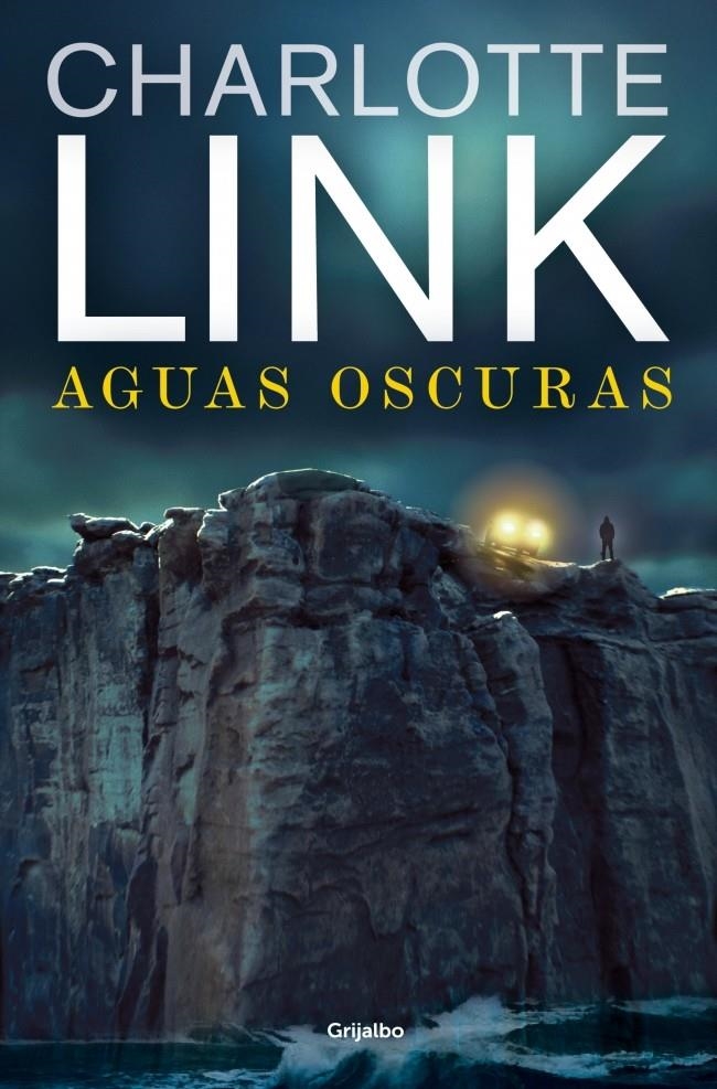 AGUAS OSCURAS (RUSTICA) | LINK, CHARLOTTE | Akira Comics  - libreria donde comprar comics, juegos y libros online