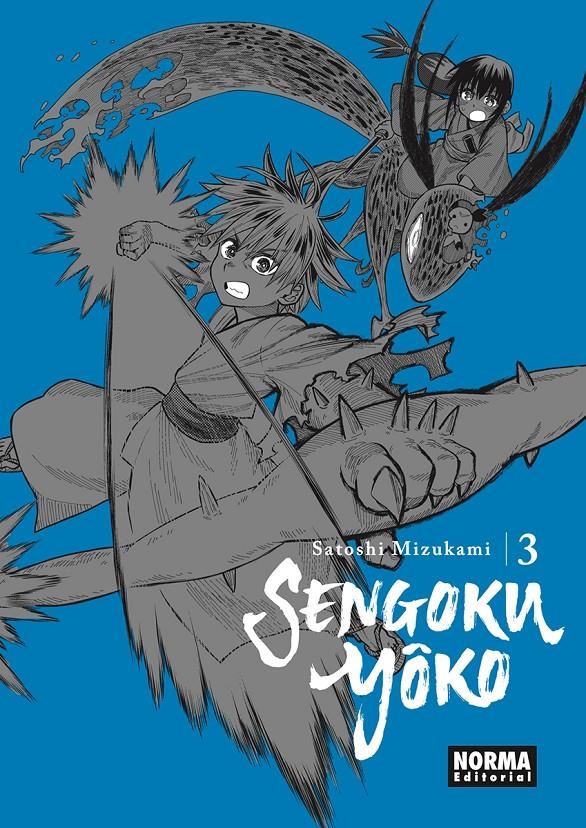 SENGOKU YOKO Nº03 [RUSTICA] | SATOSHI, MIZUKAMI | Akira Comics  - libreria donde comprar comics, juegos y libros online