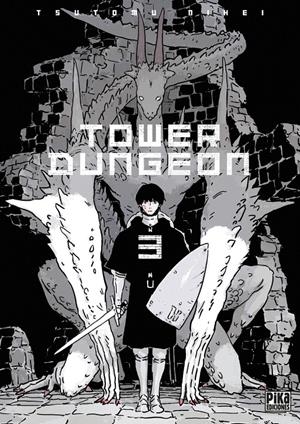 TOWER DUNGEON Nº03 [RUSTICA] | NIHEI, TSUTOMU | Akira Comics  - libreria donde comprar comics, juegos y libros online