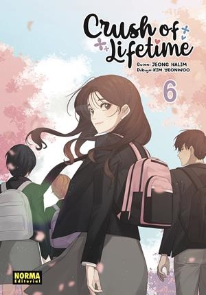 CRUSH OF LIFETIME Nº06 [RUSTICA] | JEONG, HALIM / KIM, YEONWOO | Akira Comics  - libreria donde comprar comics, juegos y libros online