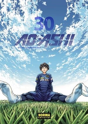 AO ASHI Nº30 [RUSTICA] | KOBAYASHI, YUGO | Akira Comics  - libreria donde comprar comics, juegos y libros online