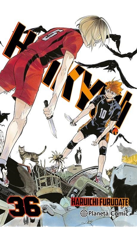 HAIKYÛ!! Nº36 [RUSTICA] | FURUDATE, HARUICHI | Akira Comics  - libreria donde comprar comics, juegos y libros online
