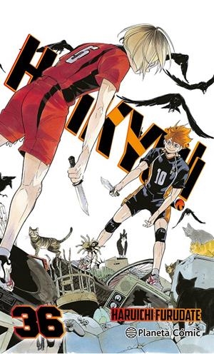 HAIKYÛ!! Nº36 [RUSTICA] | FURUDATE, HARUICHI | Akira Comics  - libreria donde comprar comics, juegos y libros online