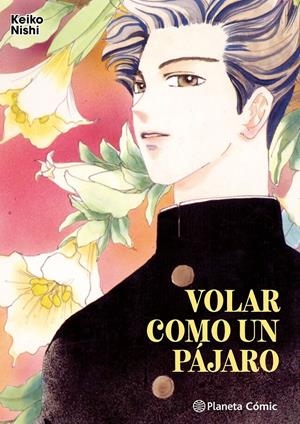 VOLAR COMO UN PAJARO [RUSTICA] | NISHI, KEIKO | Akira Comics  - libreria donde comprar comics, juegos y libros online