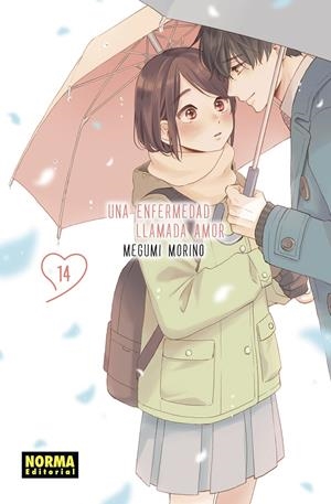 UNA ENFERMEDAD LLAMADA AMOR Nº14 [RUSTICA] | MORINO, MEGUMI | Akira Comics  - libreria donde comprar comics, juegos y libros online