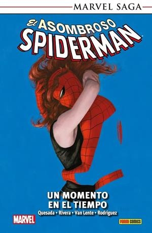 MARVEL SAGA TPB: SPIDERMAN VOL.29, UN MOMENTO EN EL TIEMPO [RUSTICA] | QUESADA, JOE | Akira Comics  - libreria donde comprar comics, juegos y libros online