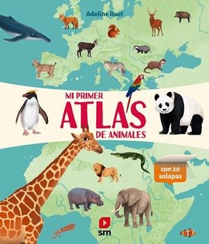 MI PRIMER ATLAS DE ANIMALES [CARTONE] | RUEL, ADELINE | Akira Comics  - libreria donde comprar comics, juegos y libros online