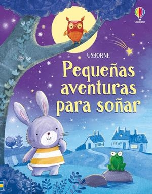PEQUEÑAS AVENTURAS PARA SOÑAR [CARTONE] | TAPLIN, SAM | Akira Comics  - libreria donde comprar comics, juegos y libros online