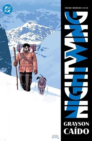 DC PREMIERE: NIGHTWING Nº07, GRAISON CAIDO (ULTIMO NUMERO) [RUSTICA] | Akira Comics  - libreria donde comprar comics, juegos y libros online