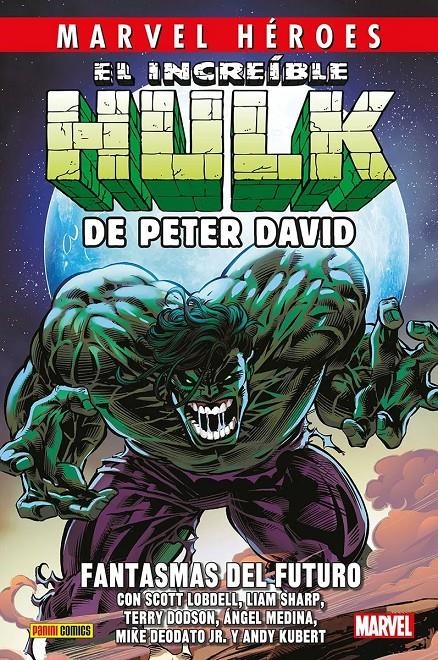 INCREIBLE HULK DE PETER DAVID VOLUMEN 06: FANTASMAS DEL FUTURO [CARTONE] | DAVID, PETER | Akira Comics  - libreria donde comprar comics, juegos y libros online