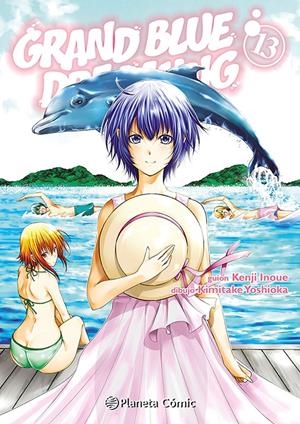 GRAND BLUE DREAMING Nº13 [RUSTICA] | INOUE, KENJI / YOSHIOKA, KIMITAKE | Akira Comics  - libreria donde comprar comics, juegos y libros online