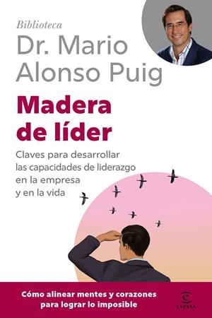 MADERA DE LIDER [RUSTICA] | PUIG, MARIO ALONSO | Akira Comics  - libreria donde comprar comics, juegos y libros online