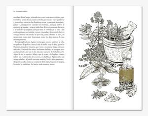 HAMNET (EDICION ILUSTRADA) [CARTONE] | O'FARRELL, MAGGIE | Akira Comics  - libreria donde comprar comics, juegos y libros online