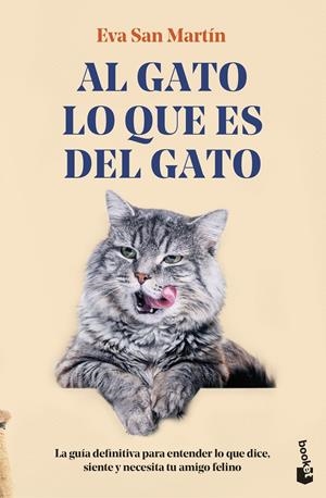 AL GATO LO QUE ES DEL GATO [BOLSILLO] | SAN MARTIN, EVA | Akira Comics  - libreria donde comprar comics, juegos y libros online