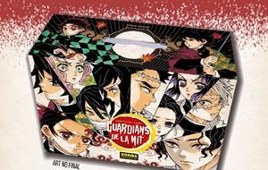 GUARDIANES DE LA NOCHE (DEMON SLAYER / KIMETSU NO YAIBA) [RUSTICA] (PACK OBRA COMPLETA) | GOTOUGE, KOYOHARU | Akira Comics  - libreria donde comprar comics, juegos y libros online