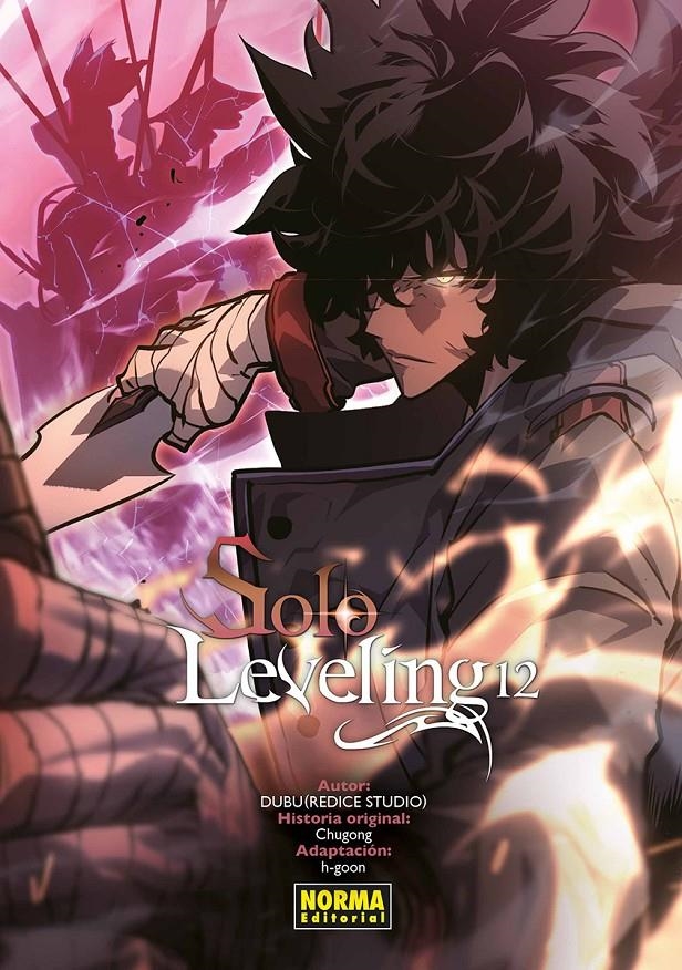 SOLO LEVELING Nº12 [RUSTICA] | DUBU (REDICE STUDIO) / CHUGONG | Akira Comics  - libreria donde comprar comics, juegos y libros online