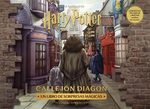 HARRY POTTER: CALLEJON DIAGON (DIAGON ALLEY) [CARTONE] | Akira Comics  - libreria donde comprar comics, juegos y libros online