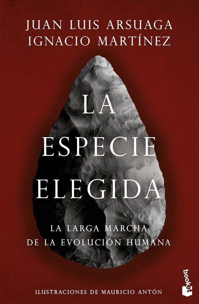 ESPECIE ELEGIDA, LA [BOLSILLO] | ARSUAGA, JUAN LUIS / MARTINEZ, IGNACIO | Akira Comics  - libreria donde comprar comics, juegos y libros online