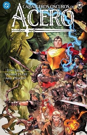 DC ELSEWORLDS: CABALLEROS OSCUROS DE ACERO [CARTONE] | TAYLOR, TOM | Akira Comics  - libreria donde comprar comics, juegos y libros online