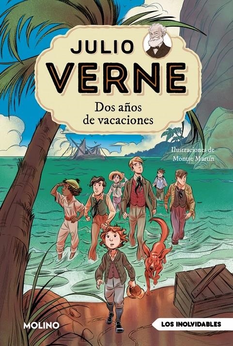 JULIO VERNE Nº01: DOS AÑOS DE VACACIONES (EDICION ILUSTRADA Y ADAPTADA) [RUSTICA] | VERNE, JULIO | Akira Comics  - libreria donde comprar comics, juegos y libros online