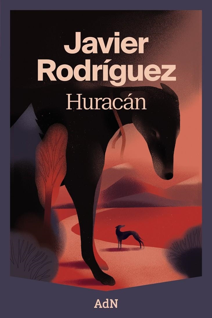 HURACAN [RUSTICA] | RODRIGUEZ, JAVIER | Akira Comics  - libreria donde comprar comics, juegos y libros online