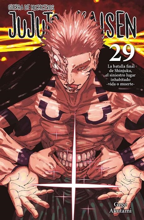 JUJUTSU KAISEN Nº29 (GUERRA DE HECHICEROS) [RUSTICA] | AKUTAMI, GEGE | Akira Comics  - libreria donde comprar comics, juegos y libros online