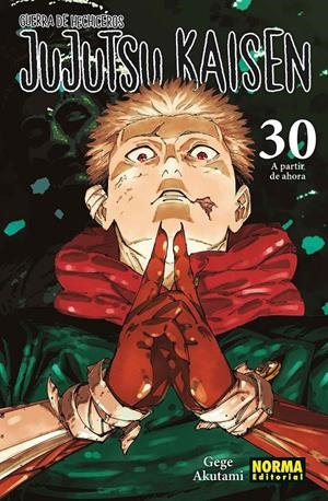 JUJUTSU KAISEN Nº30: ULTIMO TOMO (GUERRA DE HECHICEROS) [RUSTICA] | AKUTAMI, GEGE | Akira Comics  - libreria donde comprar comics, juegos y libros online
