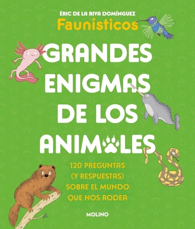GRANDES ENIGMAS DE LOS ANIMALES [RUSTICA] | DE LA RIVA DOMINGUEZ, ERIC | Akira Comics  - libreria donde comprar comics, juegos y libros online