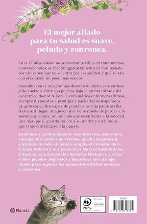 TE RECETO OTRO GATO [CARTONE] | ISHIDA, SYOU | Akira Comics  - libreria donde comprar comics, juegos y libros online