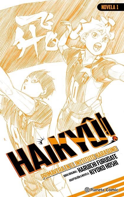 HAIKYÛ!! (NOVELA) Nº 01 [RUSTICA] | FURUDATE, HARUICHI | Akira Comics  - libreria donde comprar comics, juegos y libros online